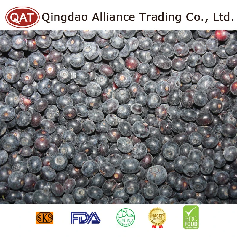 Top Quality Frozen Blueberry with Good Price