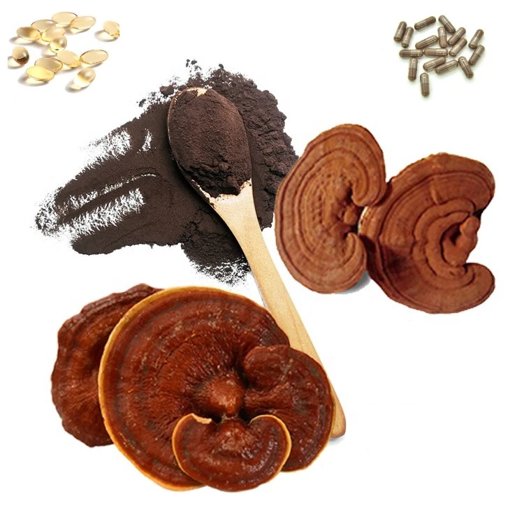 Supply High quality/High cost performance  100% Organic Polysaccharide Ganoderma Lucidum Reishi Mushroom Extract Mushroom Powder