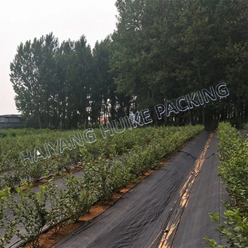 Polypropylene Biodegradable Nonwoven PE PP Plastic Rubber Products Greenhouse Agricultural Woven Weed Control Mat Fabric