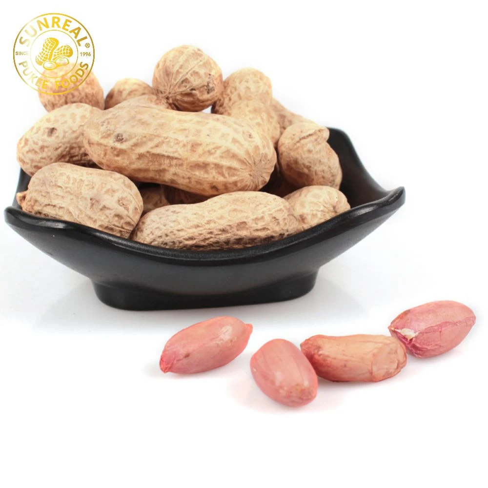 Virginia Peanuts /Raw Peanut in Shell /China / New Crop Best Packing
