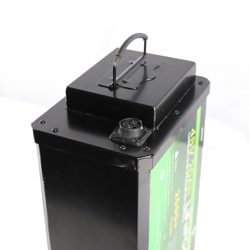 LiFePO4 Rechargeable Electric Vehicle Lithium Iron Phosphate Battery 48V