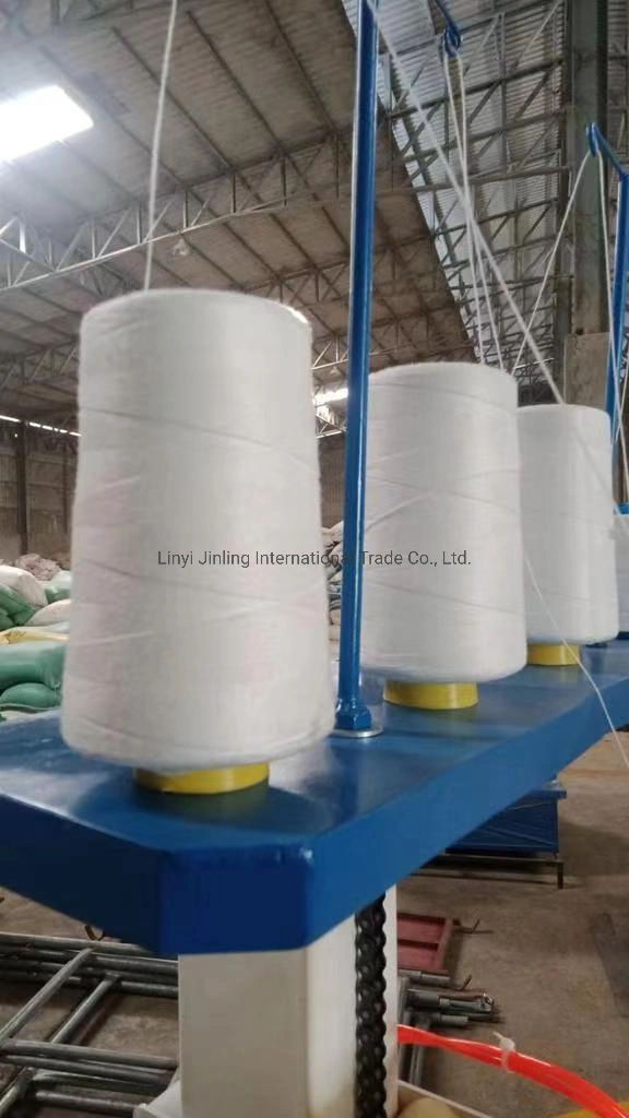 Polyester Bag Closer Thread 12s/4