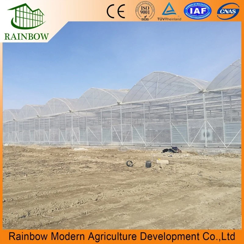 Smart Agricultural Multi Span Arch-Type Film PE/Po Greenhouse for Vertical Farming Agriculture of Vegetables/Flowers/Tomato/Garden with Hydroponics System