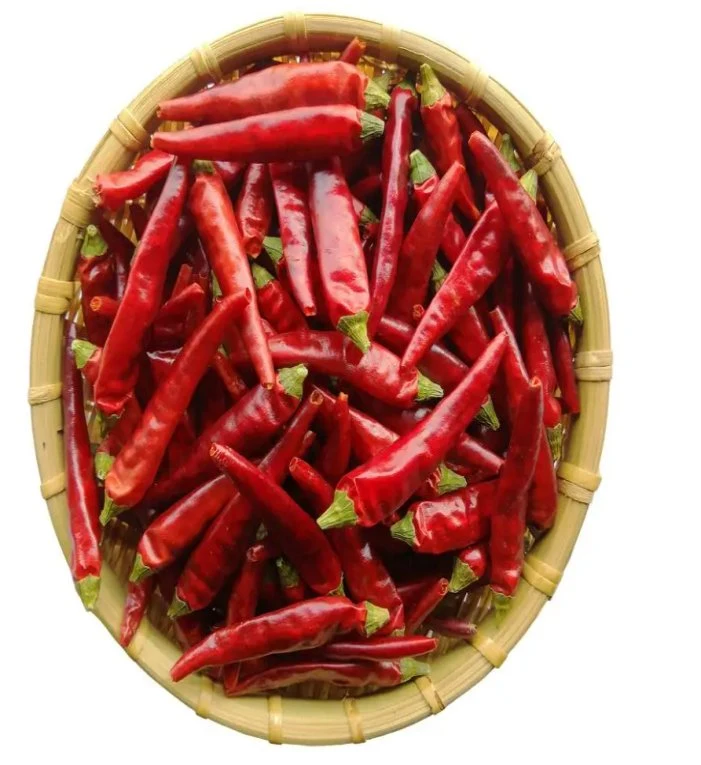 Dried Chili Aromated Dry Chili