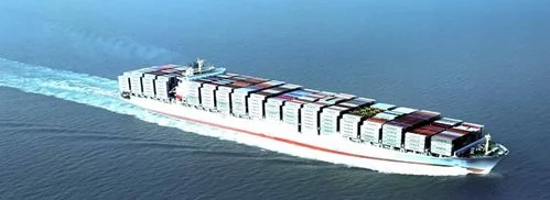 Cheapest Fba, DDP Sea Freight, Best Forwarder Shipping Agent From China to Ecuador