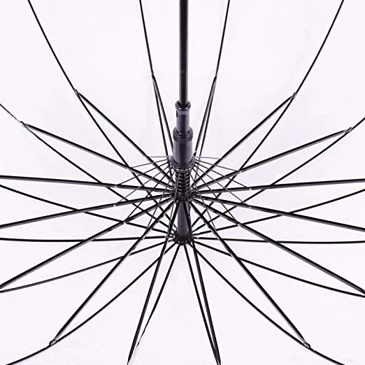 Poe Plastic Black Trim 16 Ribs Transparent Umbrella with Curved Handle