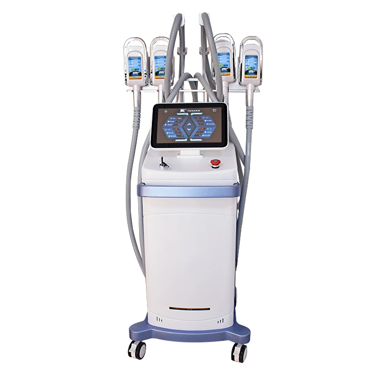 4 pegas de congelação de gordura Cryo Cold lipolysis Machine 360 Grau