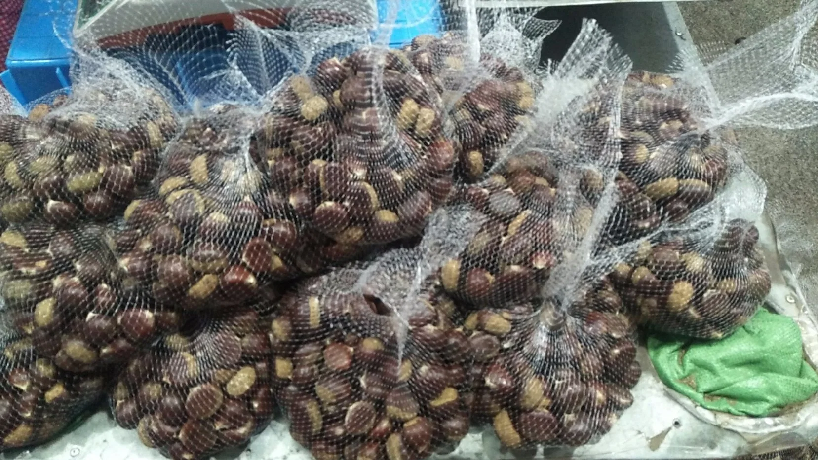 Taian Chestnut de l'exportation d'Israël