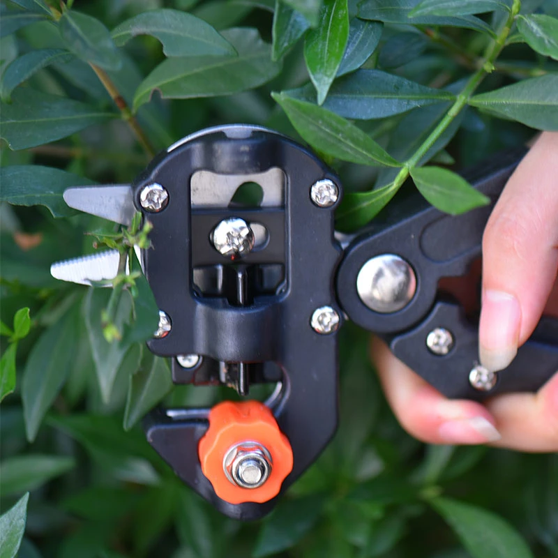 Herramientas de jardín Pruner Suca Injerto del picador de corte de la vacunación de la planta de árboles frutales de tijeras cizallas de injerto de vid de uva herramienta Tijeras