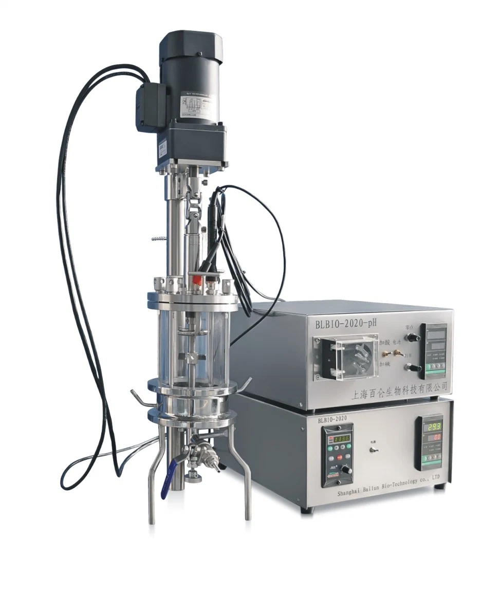 Harvesting Yeast Line with Glass Bioreactor From Lab Scale Jacketed Conical Fermenter