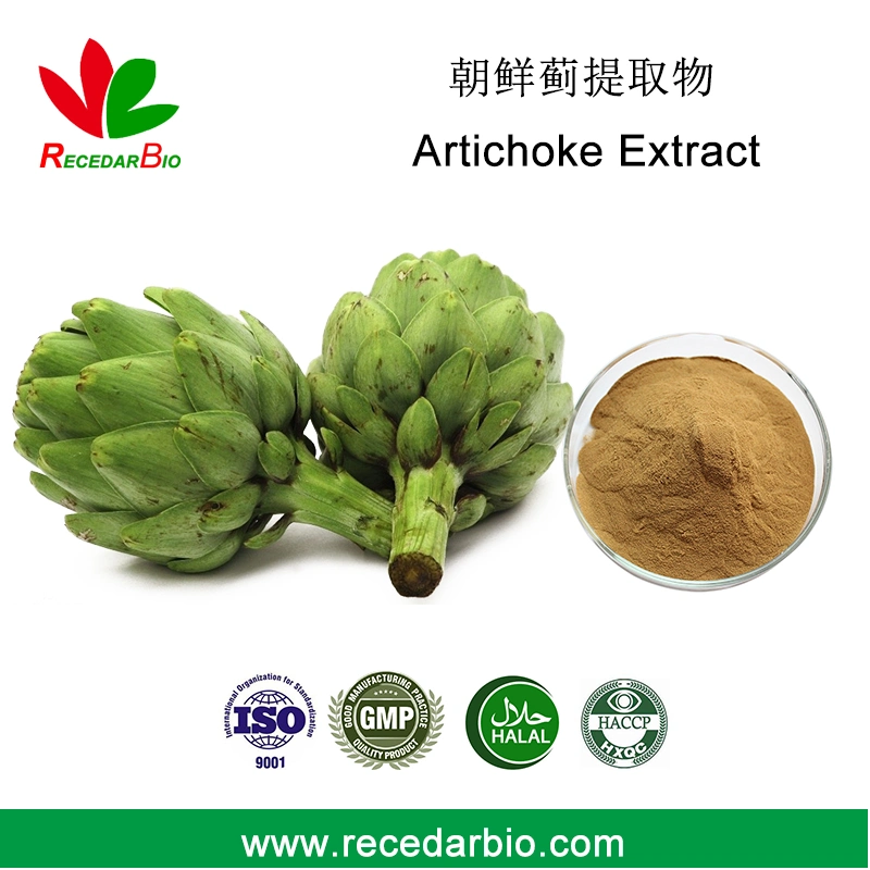 Artichoke Leaf Extract Powder CAS 1182-34-9 Cynarin