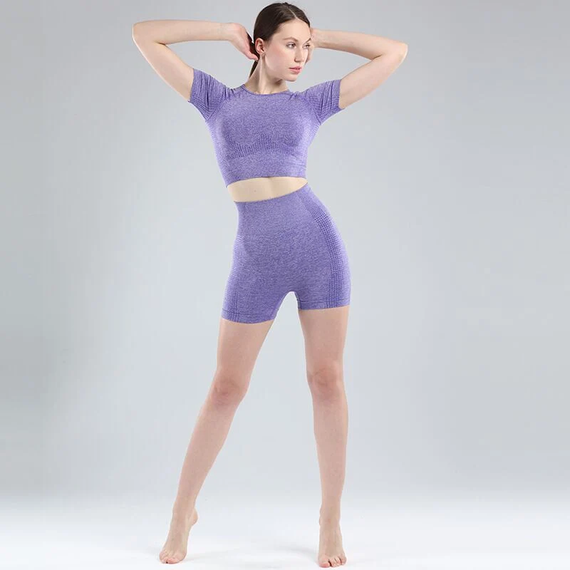 Wholesale/Supplier Customized Logo Fitness Gym Crop Top Shorts Yoga Seamless Set Women Sports Wear