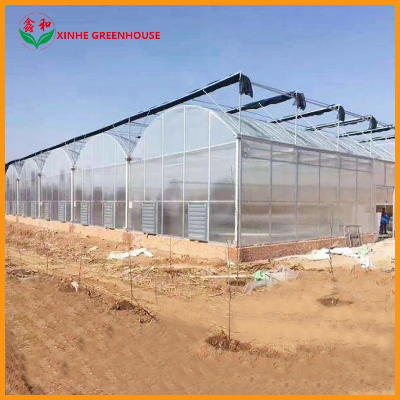 Fábrica Venta caliente invernadero de vidrio grande invernaderos hidropónicos para la agricultura