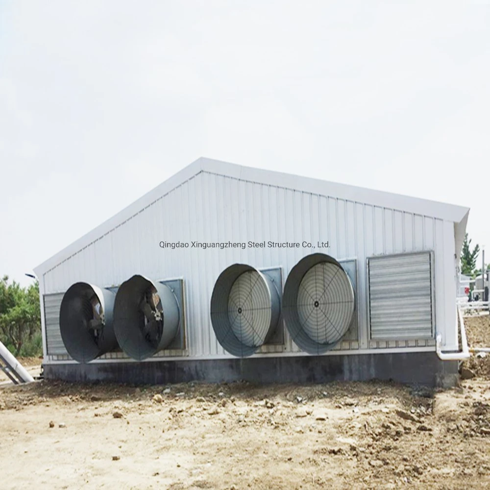 Factory Supply Automatic Prefab Steel Structure Animal House Poultry Farms Construction