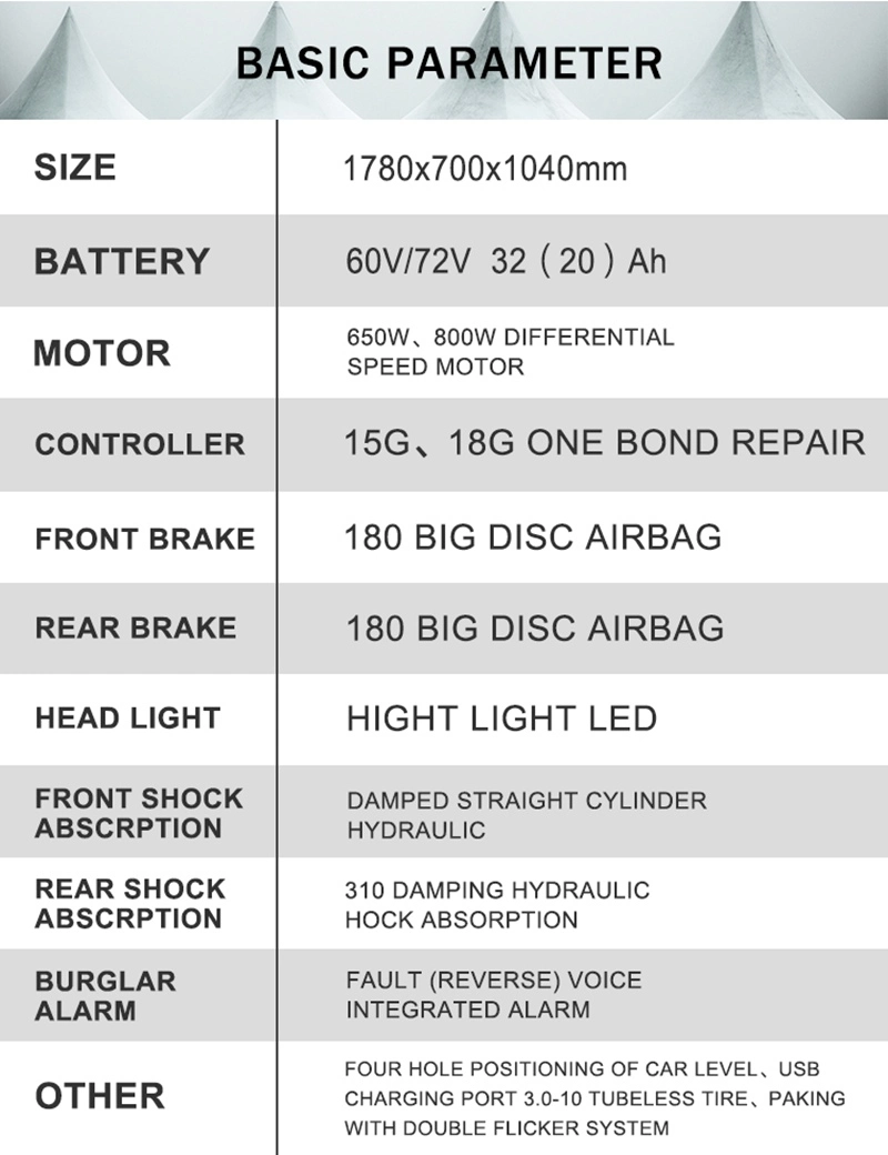 Adults 650W Motorcycle Tricycle Scooter Three Wheels Mobility Bikes