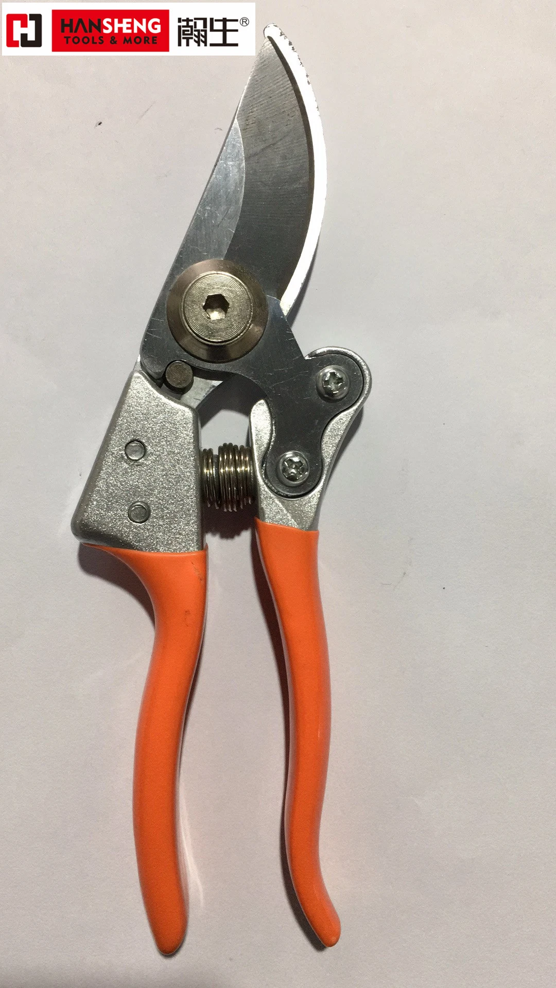 Pruning Shear, Garden Tool, Scissors