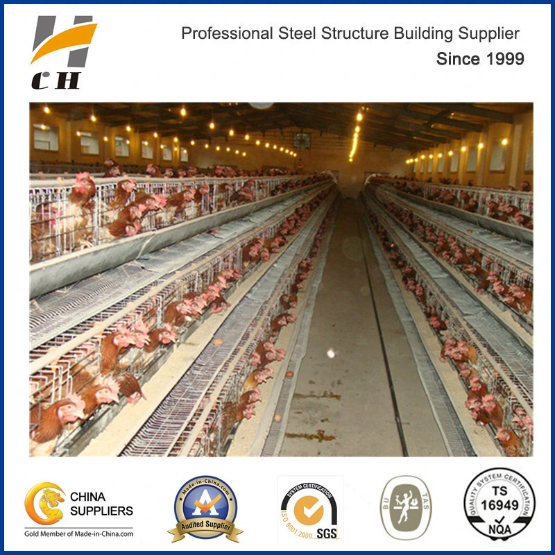 Factroy Price Quality Prefab/Prefabricated Light Weight Steel Structure Frame Metal Livestock Farm /Poultry Farms/Poultry Chicken Farm with Equipment