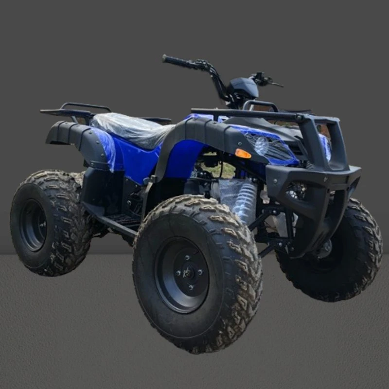 Высокое качество 200cc CE 10дюйма Racing с электроприводом для взрослых 4 Колеса Quad Bike