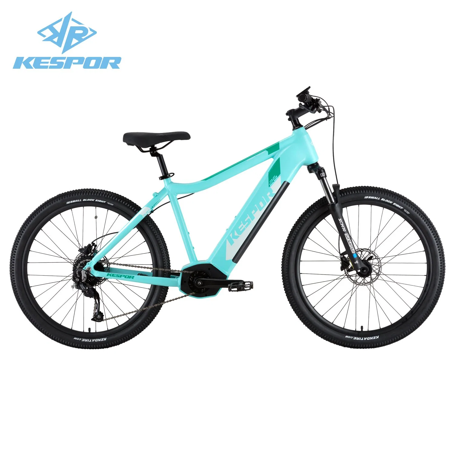 Hot Sale Shimano Gear 26 Inch 36V 250W Electric Bike Bicycle for Junior Kids