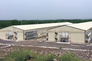 Low Cost Easy Install Prefabricated Prefab Portable Modular Mobile Expandable Luxury Light Steel Poultry Chicken Building House