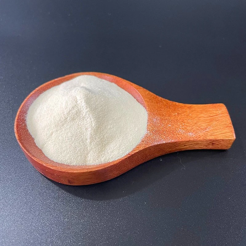 High Quality Food Ingredient Xanthan Gum CAS 11138-66-2 Manufacturer