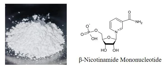 Nmn Powder 1094-61-7 Beta Nmn