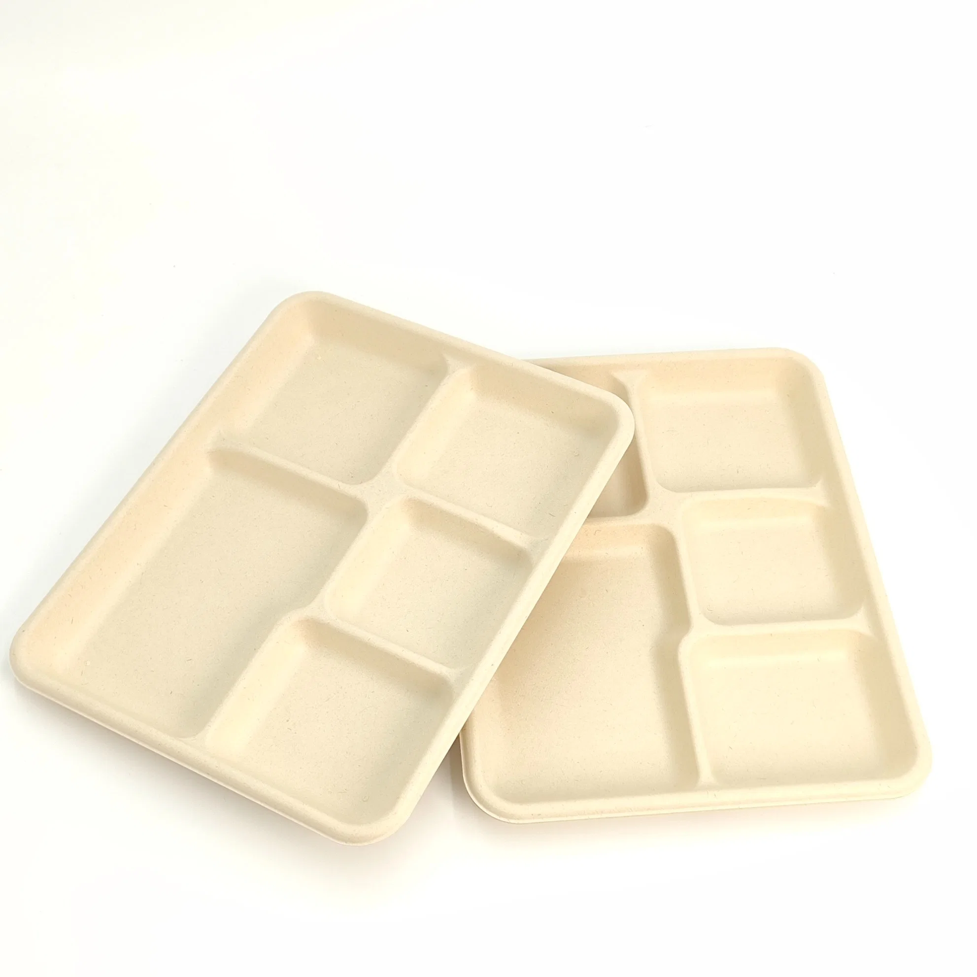 100% Biodegradable Compostable Paper Sugarcane Pulp Food Container Dessert Bagasse Tray with 5 Compartment