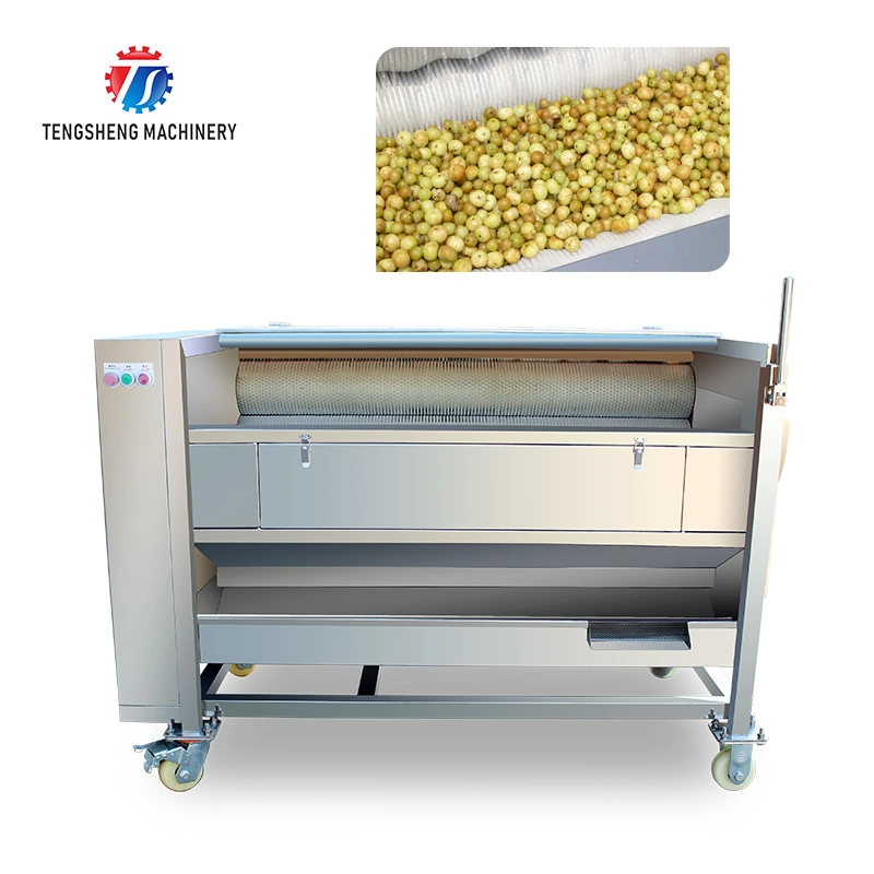 Stainless Steel Electric Vegetable Potato Cleaning Washing Peeling Machine (TS-M600)