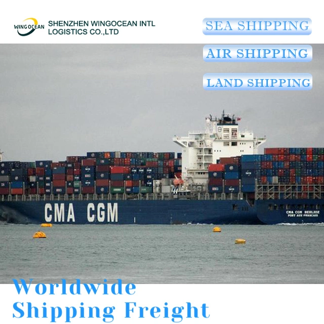 Low Price and Fast Boat Door to Door Service Shipping From China to India