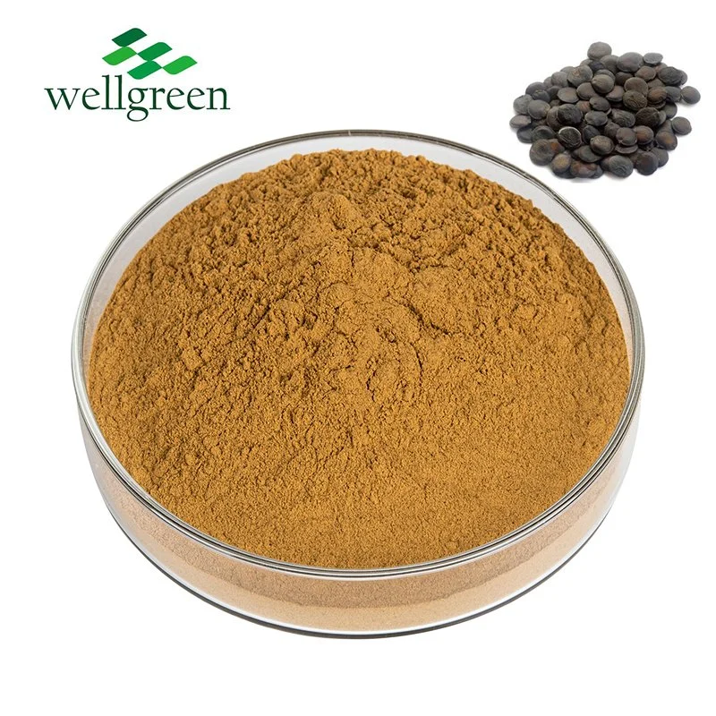 5-Hydroxytryptophan Ghana Simplicifolia 5-Htp Powder High Quality Grifonia Griffonia Seed Extract