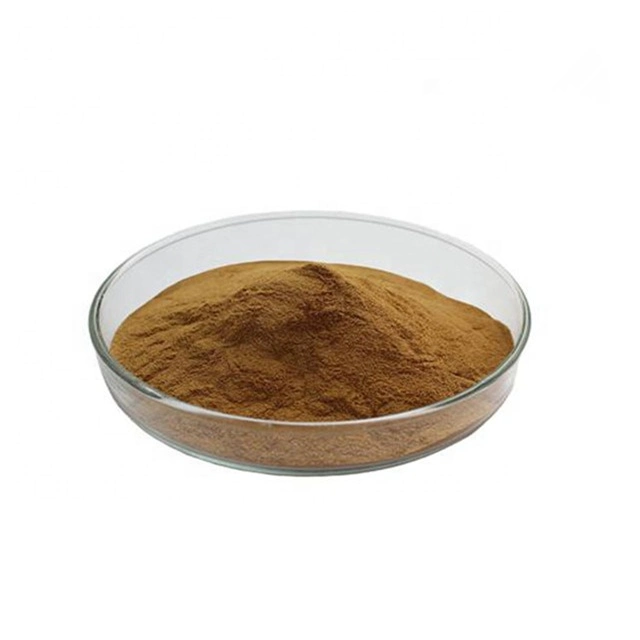 Free Sample Celandine Extract Chelidonium Majus/2% Chelerythrine Plant Extract