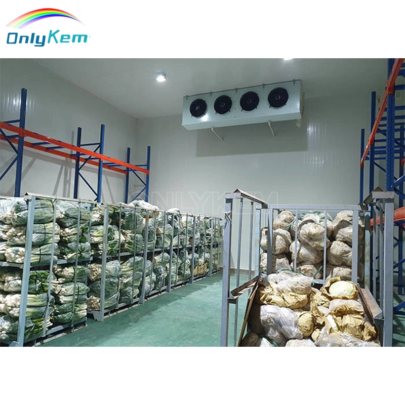 Customized Size Walk in Cold Room Hotel Use Big Size Refrigerator Equipment Meat Storage