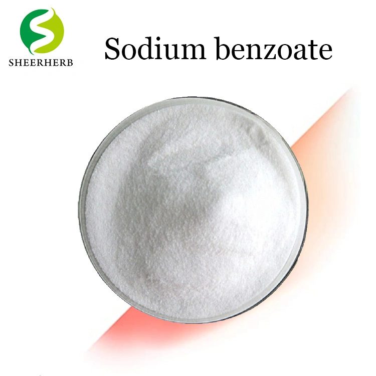 Sheerherb Pure 99% Sodium Benzoate CAS 532-32-1 Food Preservatives at Factory Sodium Benzoate