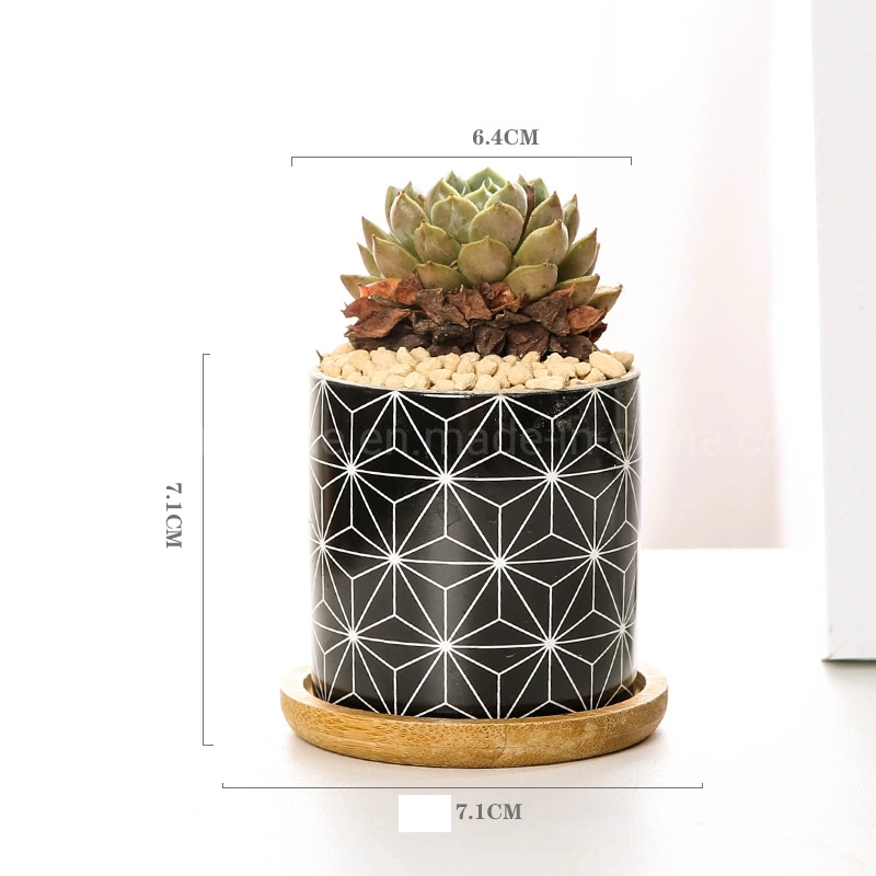 Europe Geometric Design Garden Plants Flower Pot Ceramic