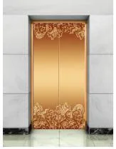 China Elevator Beautiful Design Luxury Landing Door