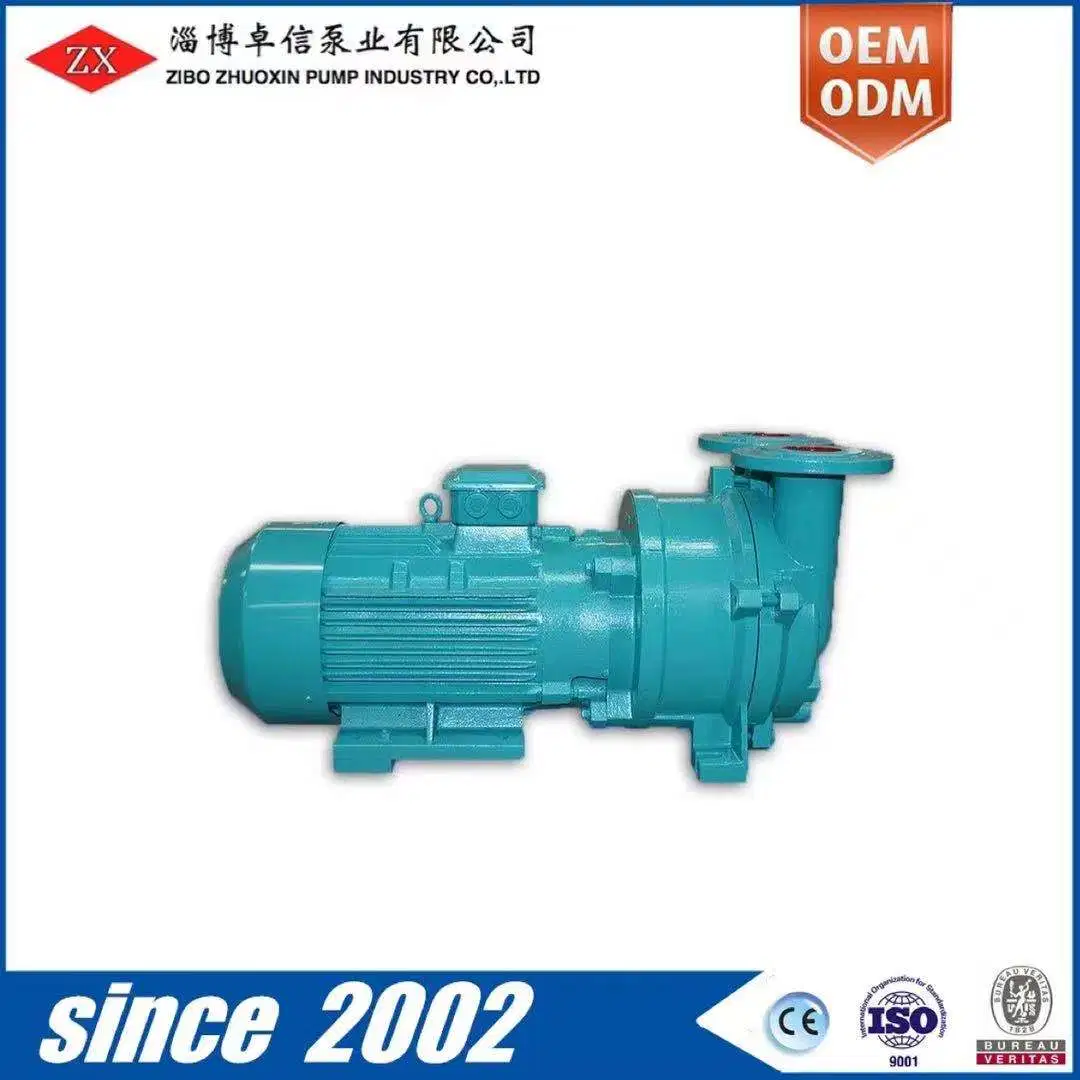 Pump & Vacuum Equipment From Zibo Zhuoxin Pump with Lrvp Vacuum