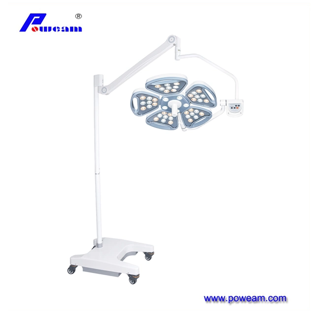 Adjust Color Temperature Operating Lamp