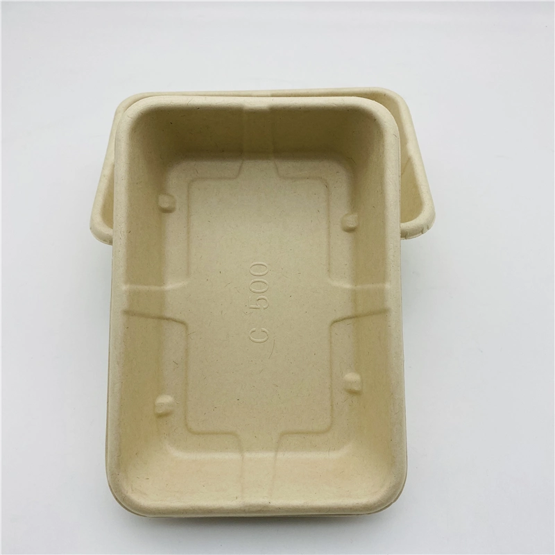 Caña de Azúcar biodegradables Clamshell Caja de comida para pasar el recipiente con tapa de bagazo /tapa de PP/PET tapa