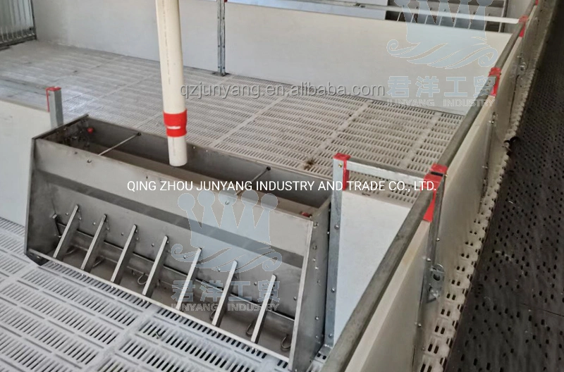 China Made Double-Side Automatic Pig Feeding Trough Hog Feeders Farming Equipment