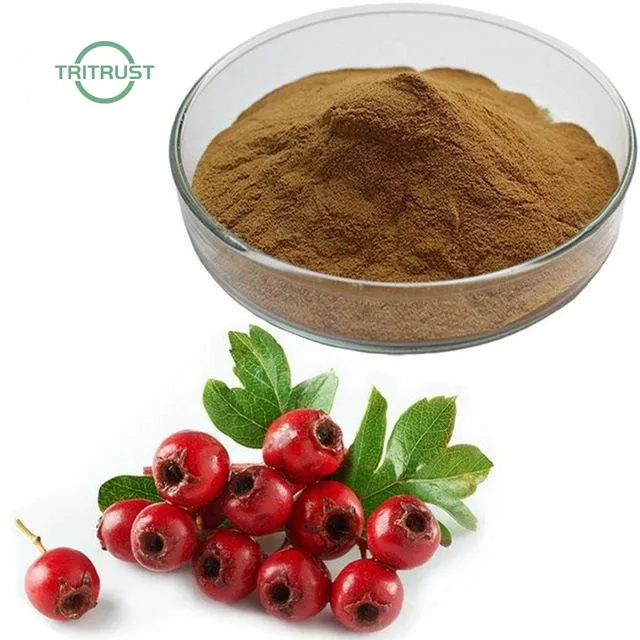 5% flavones poudre de Hawthorn extrait de fruit de Hawthorn poudre de Hawthorn Berry Extraire la poudre