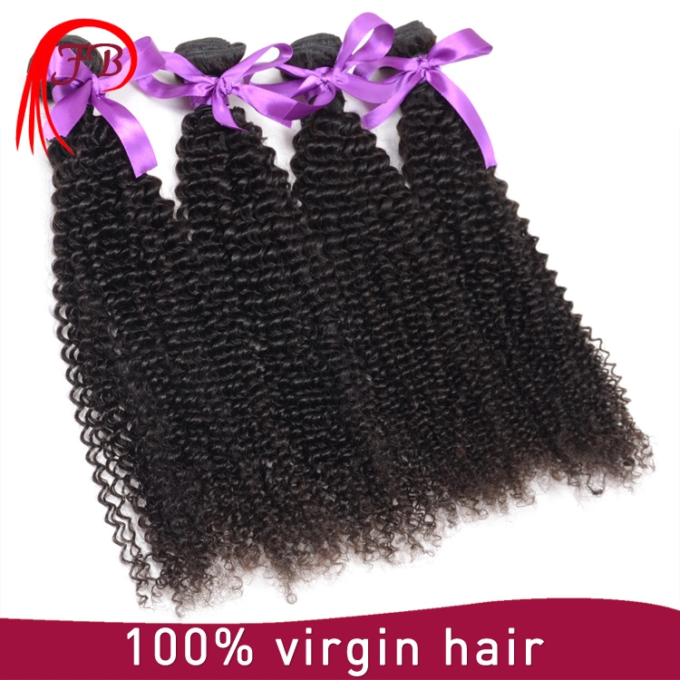 Wholesale Cheap Price Human Hair Weave Brazilian Hair in China Afro Kinky Curly Hair Bundles