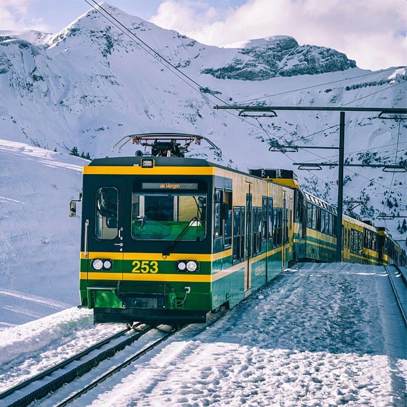 Transporte de mercancías de China de Guangzhou a Rusia el envío por parte de la estación de tren de mercancías