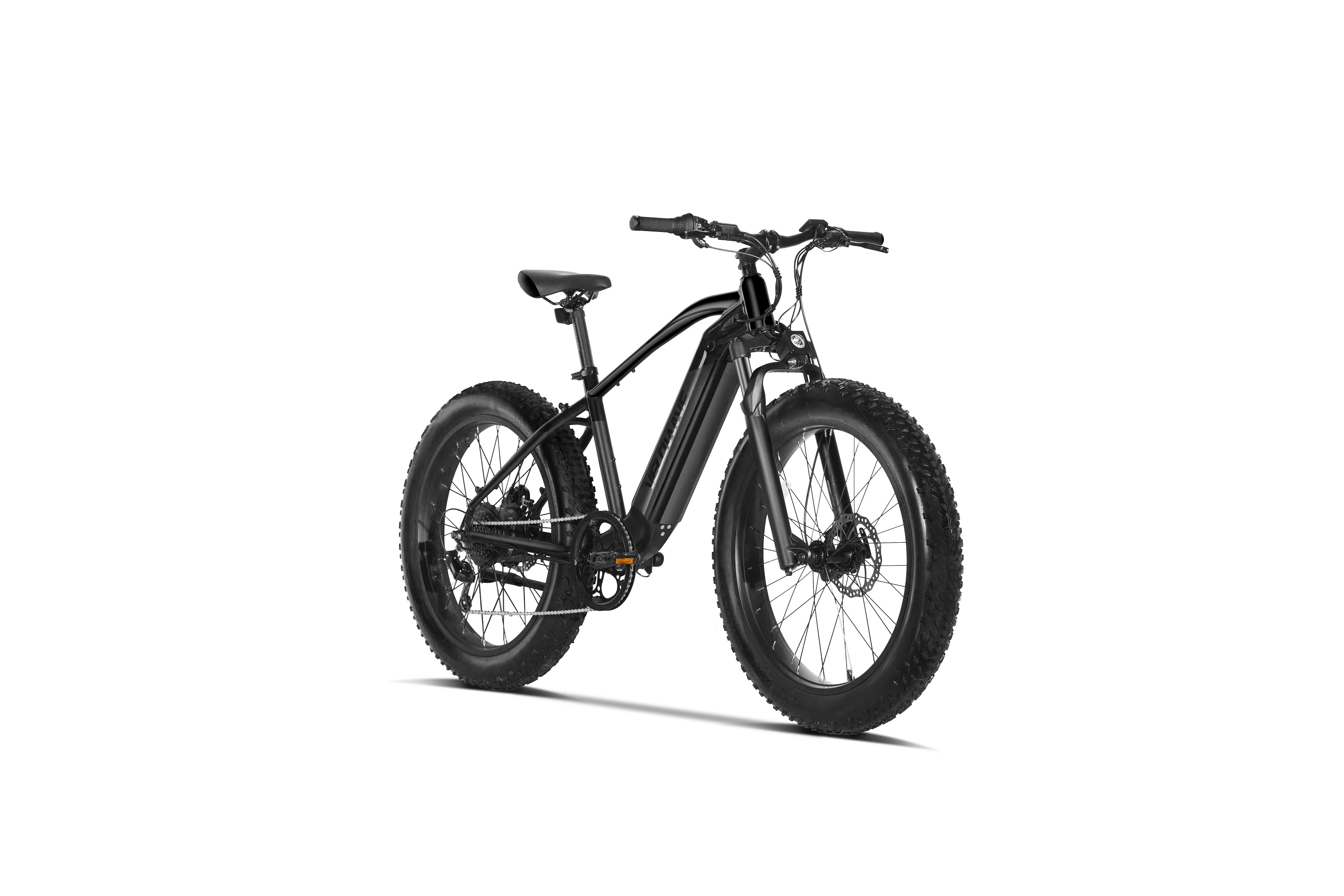 Dirt Electric Bike 750W Motor 48V Lithium Battery Mountain Bike