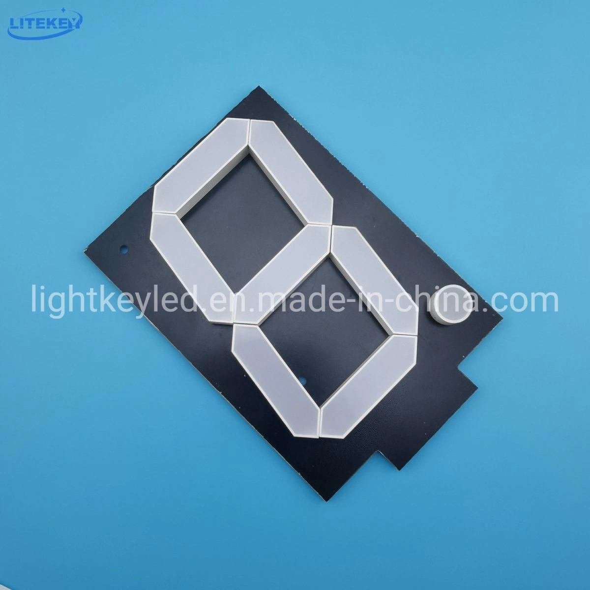 12 Inch Single Digit Assembly 7 Segment LED Display with RoHS From Expert Manufacturer