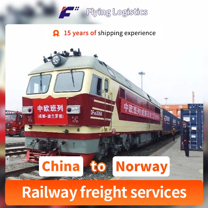 Cheapest Drop Shipping Air/Sea/Railway Freight Express From China to Norway