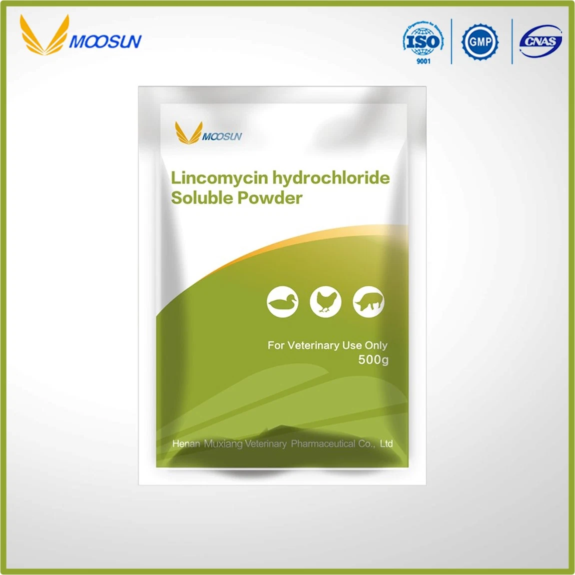 Veterinary Drug with GMP 10% Lincomycin Hydrochloride Soluble Powder for Poultry&Swine
