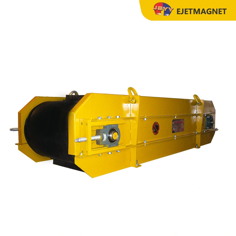 Powerful Rare Earth Magnets Permanent Magnetic Remove Scarp Metal Protecting Waste Treatment Machinery