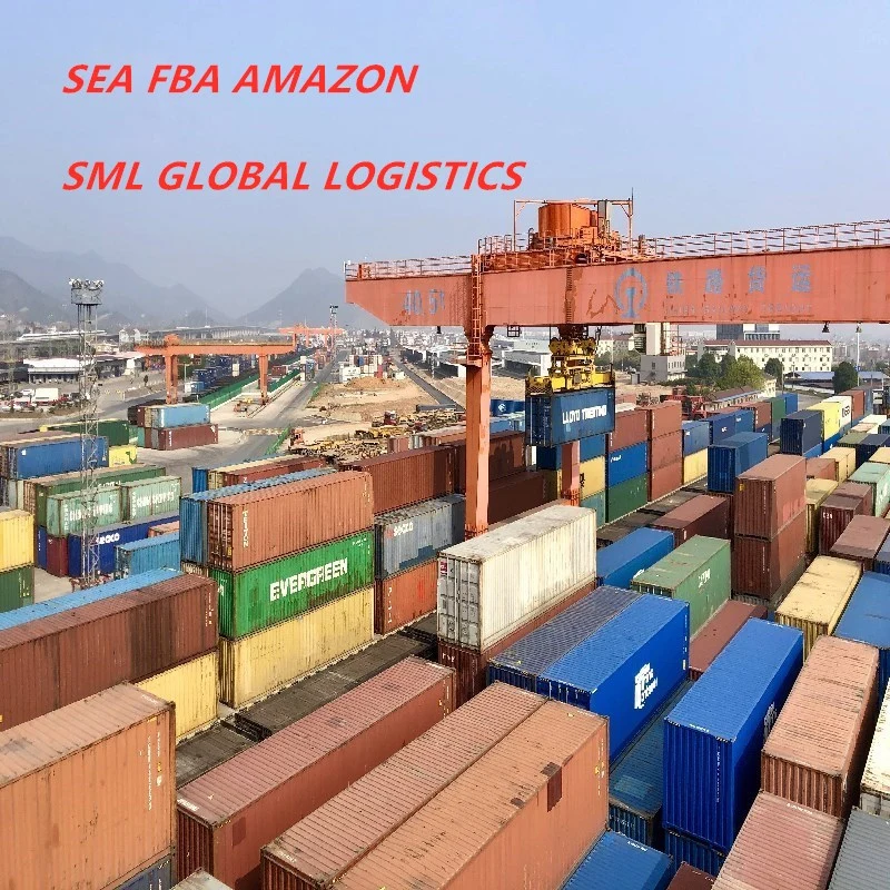 DDP Sea Freight From China to Australia/USA/Italy/Dubai. Door to Door Service