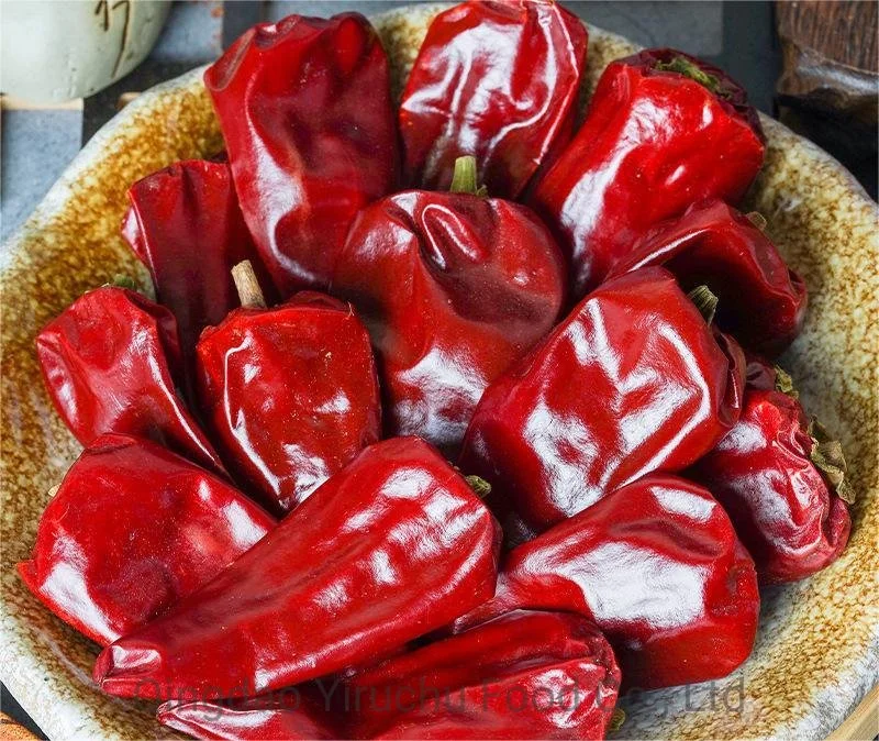 La Chine Piment rouge sec pour les importateurs de Chili