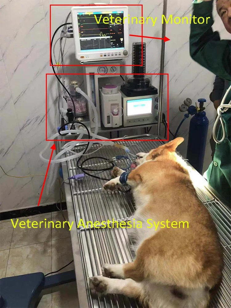 Fuente de energía eléctrica Mono-Phase modernas características de seguridad de la máquina de anestesia de animales